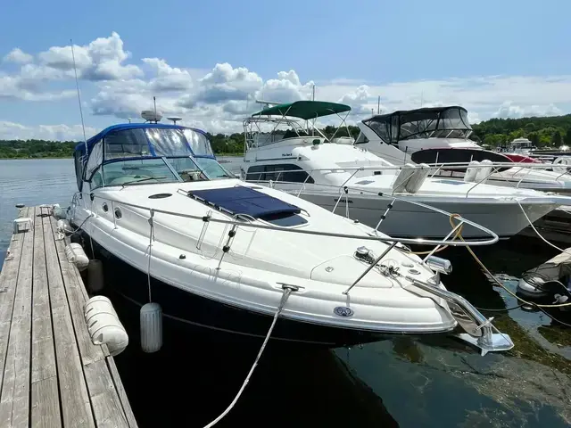 Sea Ray 340