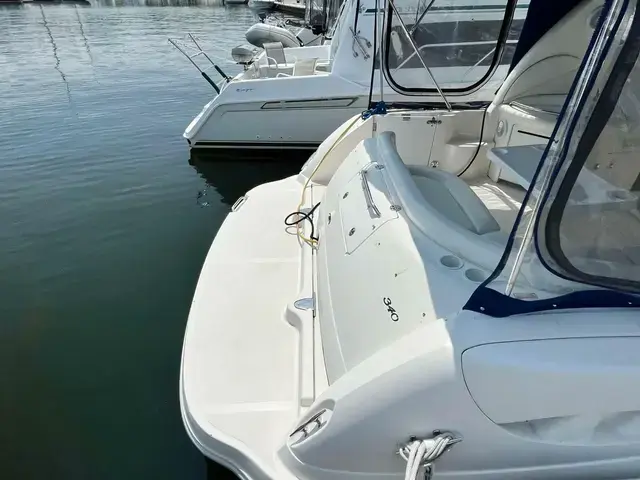 Sea Ray 340