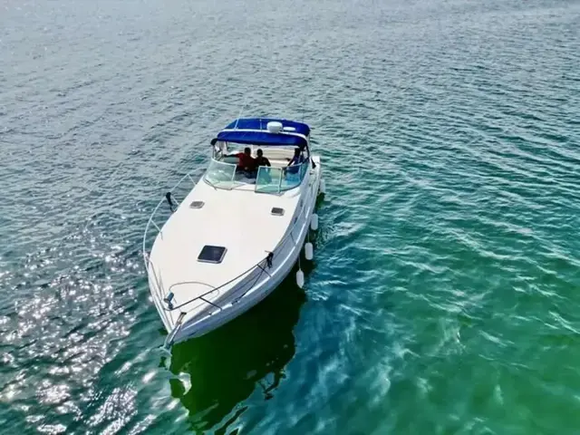 Rinker 342 Fiesta Vee