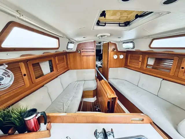 Sabre 34 Targa