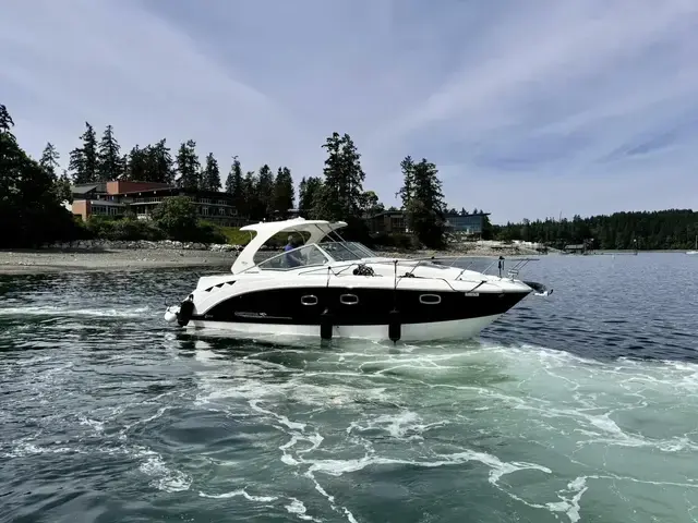 Chaparral 330 Signature