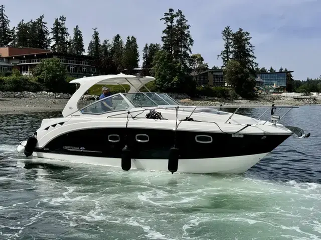 Chaparral 330 Signature