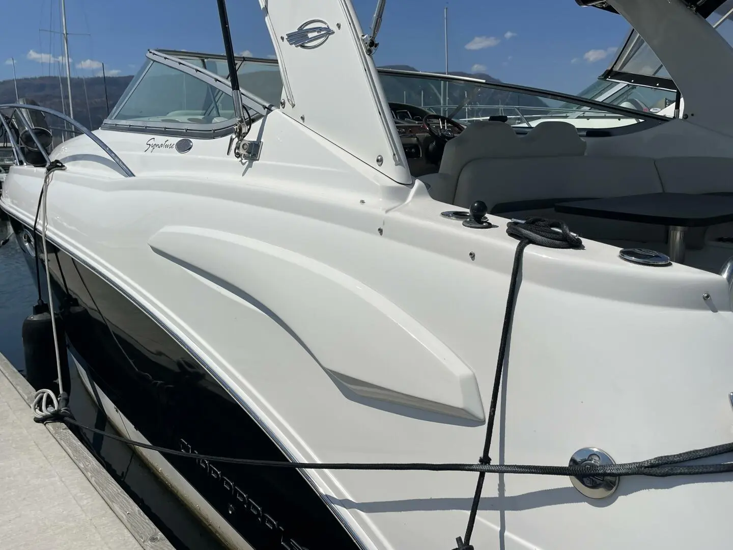 2008 Chaparral 290 signature