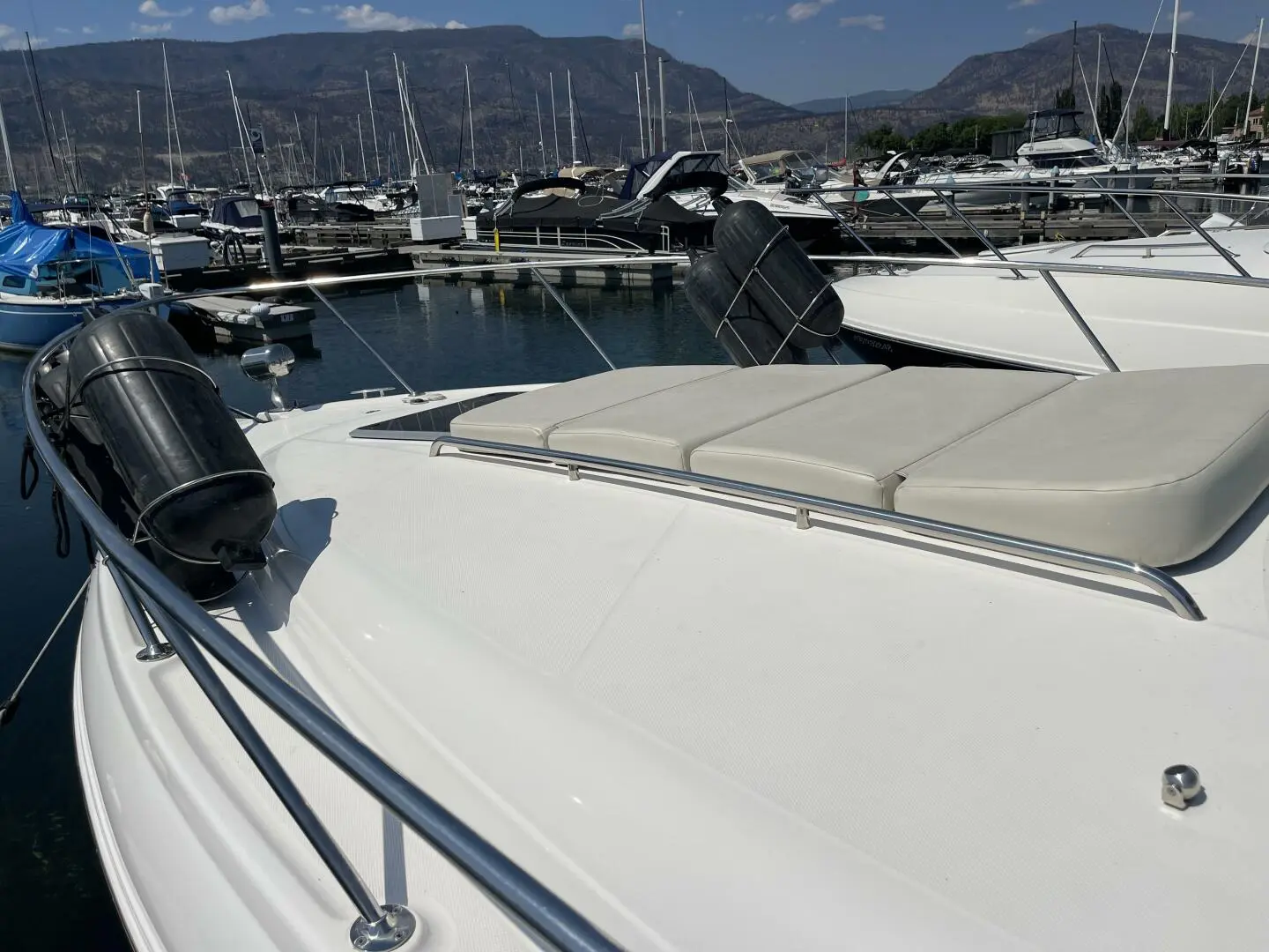 2008 Chaparral 290 signature