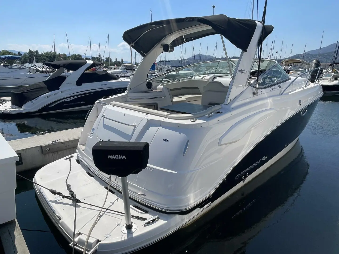 2008 Chaparral 290 signature