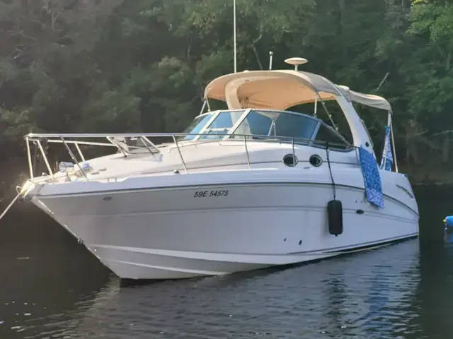 Sea Ray Sundancer 300