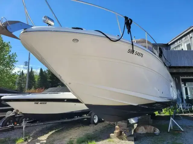 Sea Ray Sundancer 300