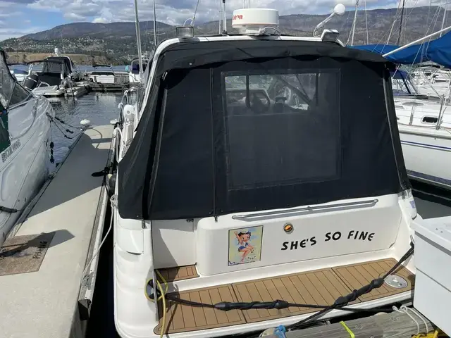 Sea Ray Sundancer 290