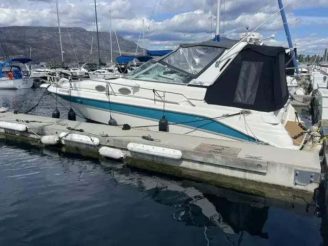 Sea Ray Sundancer 290