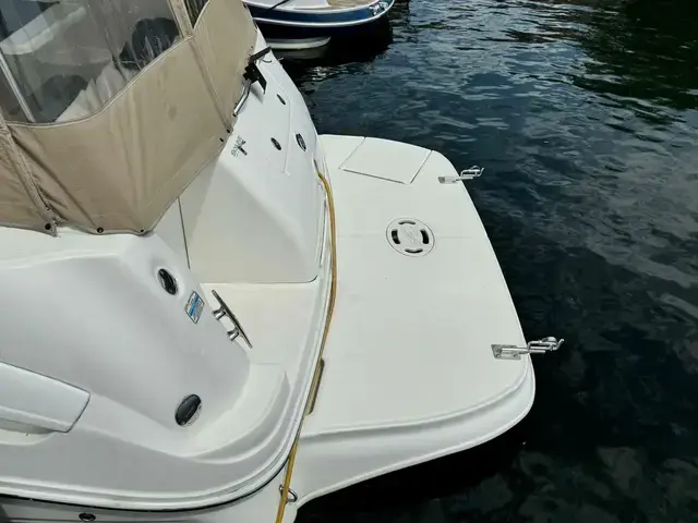 Sea Ray Sundancer 300