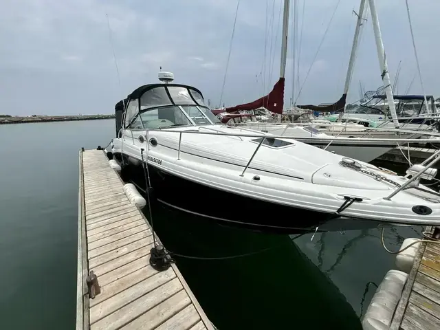 Sea Ray Sundancer 300