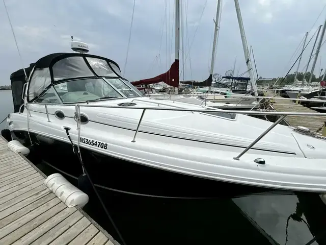 Sea Ray Sundancer 300