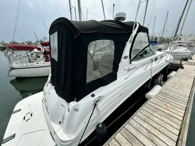 Sea Ray Sundancer 300