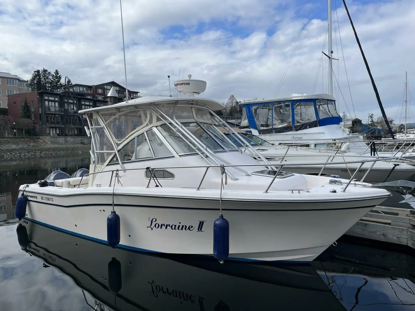 2009 Grady-white chesapeake 290