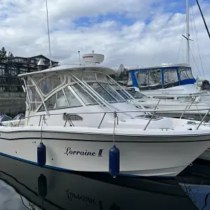 2009 Grady White Chesapeake 290