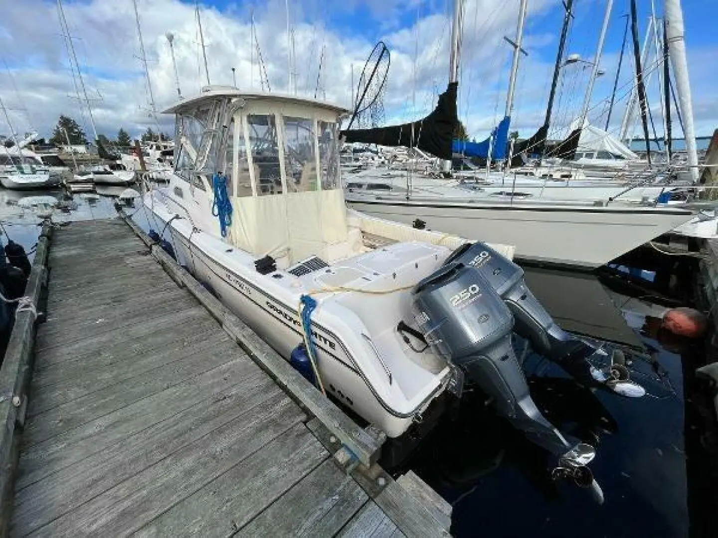 2009 Grady-white chesapeake 290