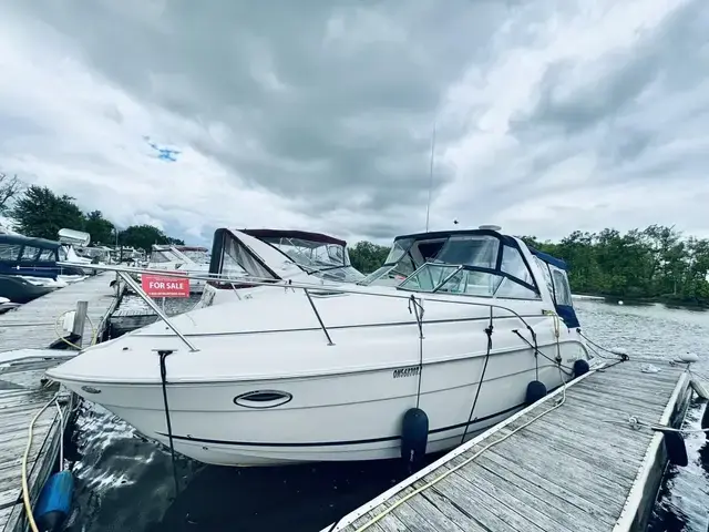 Rinker 290 Fiesta Vee