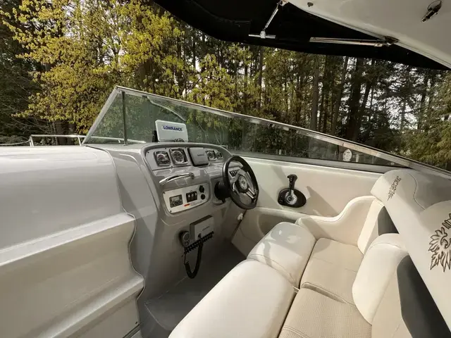 Chaparral 285 Ssx