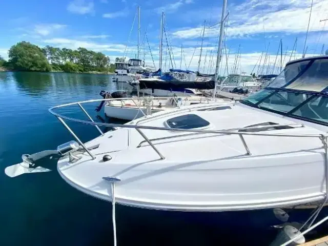 Sea Ray Sundancer 260