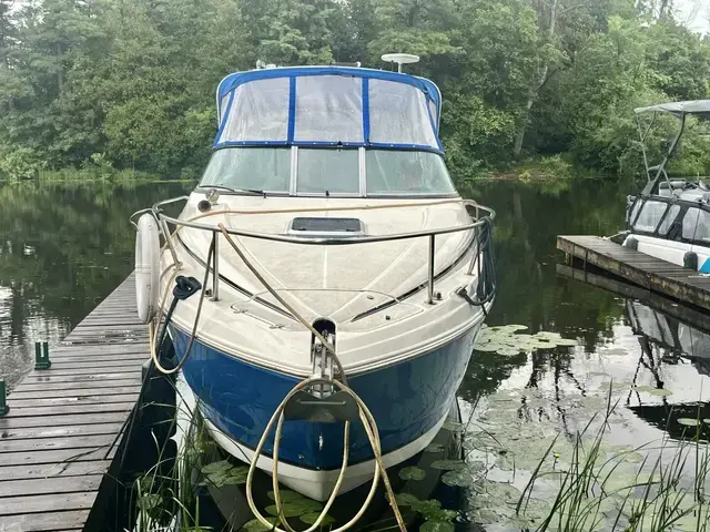 Rinker 260 Express Cruiser