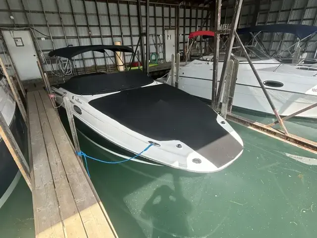 Sea Ray 260 Sundeck