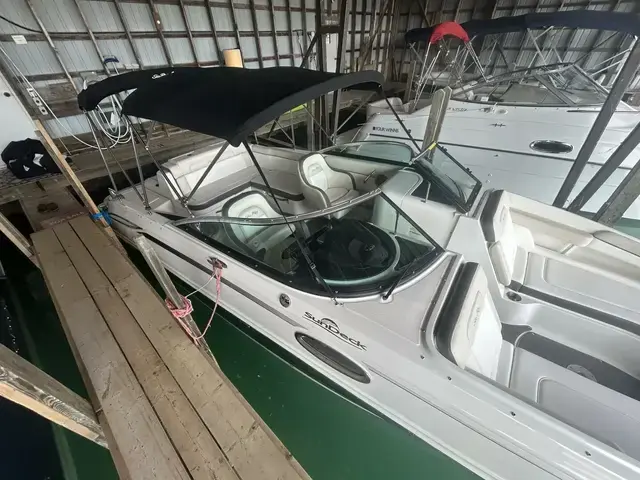 Sea Ray 260 Sundeck