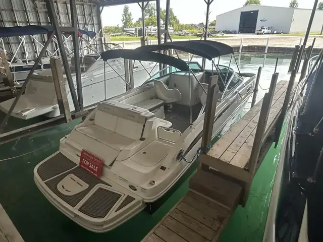 Sea Ray 260 Sundeck