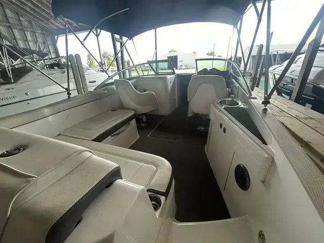 Sea Ray 260 Sundeck