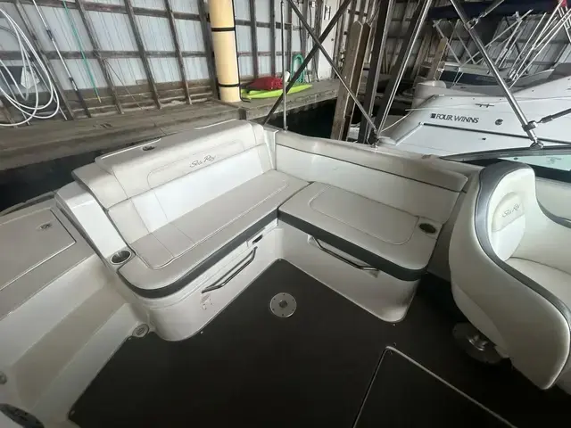 Sea Ray 260 Sundeck