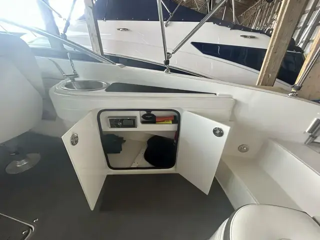 Sea Ray 260 Sundeck