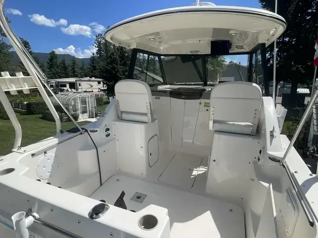 Bayliner Ciera 242 Classic