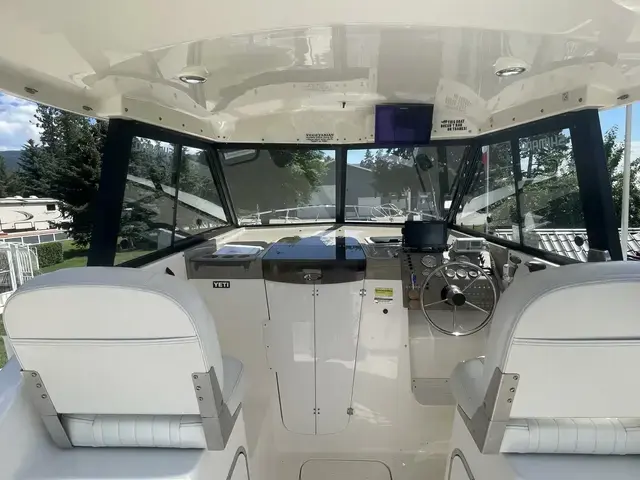 Bayliner Ciera 242 Classic