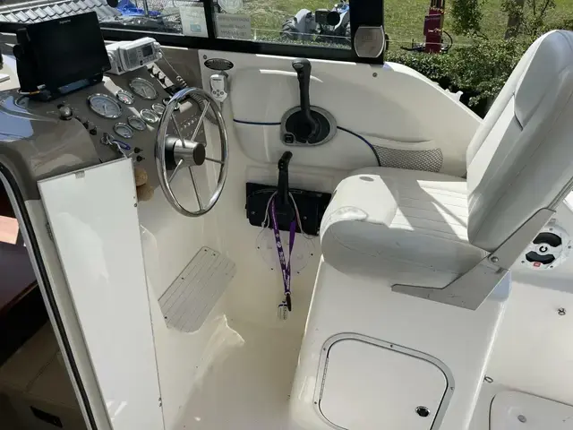 Bayliner Ciera 242 Classic