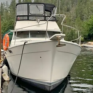 1989 Bayliner 3888