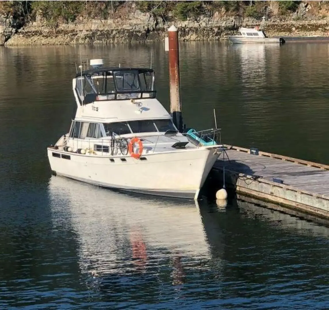 1989 Bayliner 3888