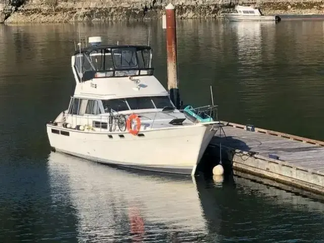 Bayliner 3888