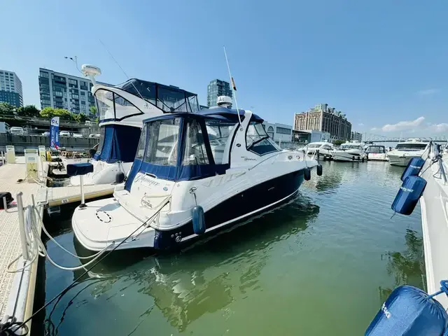 Sea Ray Sundancer 320