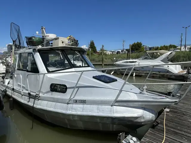 Aluminum Cruiser Tsunami