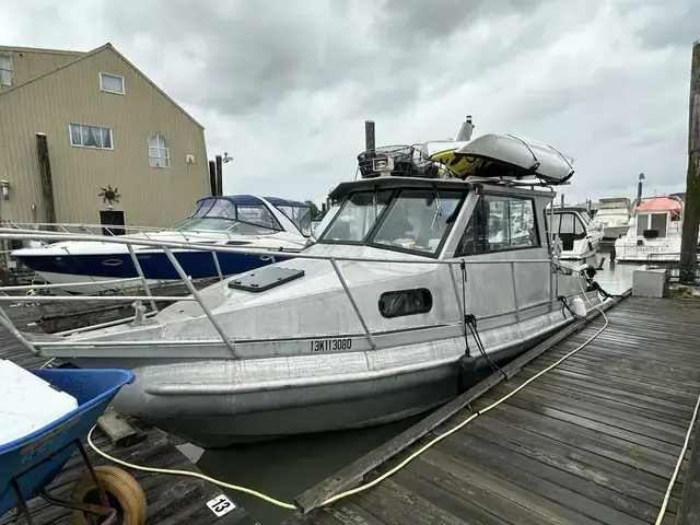 Aluminum Cruiser Tsunami