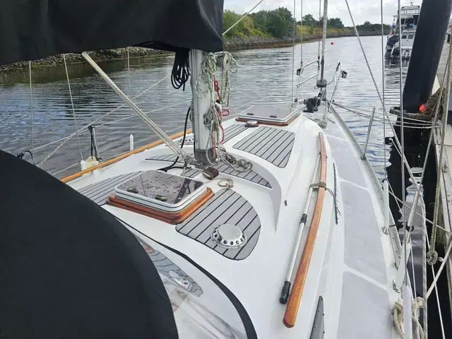 Trident Warrior 35