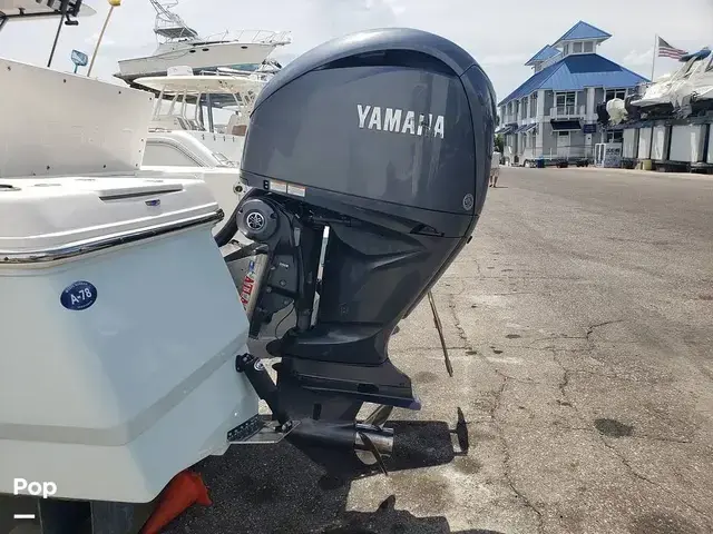 Robalo 246 Cayman