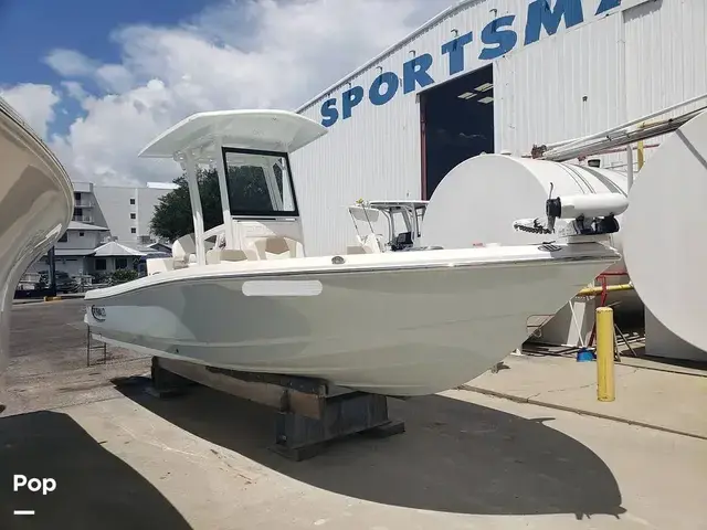 Robalo 246 Cayman