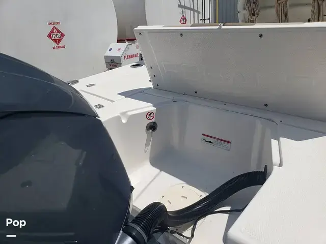 Robalo 246 Cayman