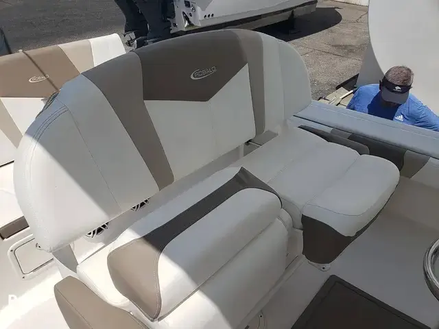 Robalo 246 Cayman