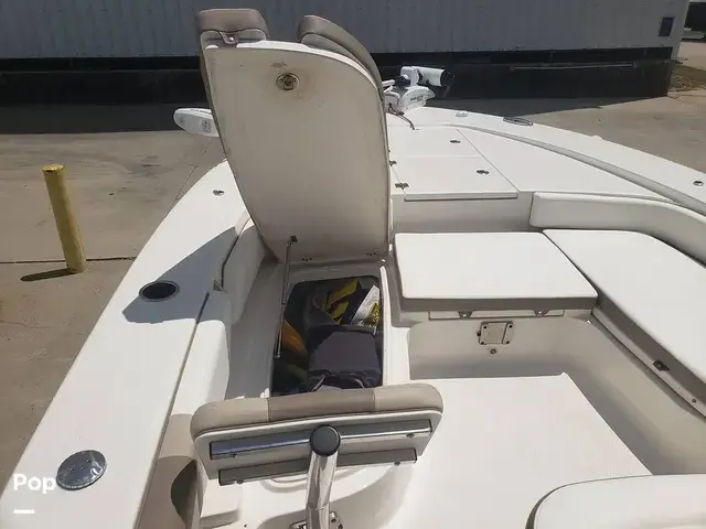 Robalo 246 Cayman