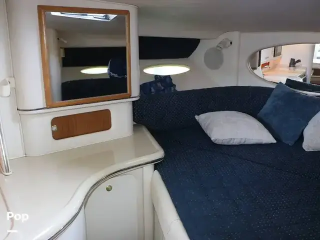 Sea Ray 310 Sundancer