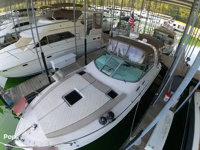 Sea Ray 310 Sundancer