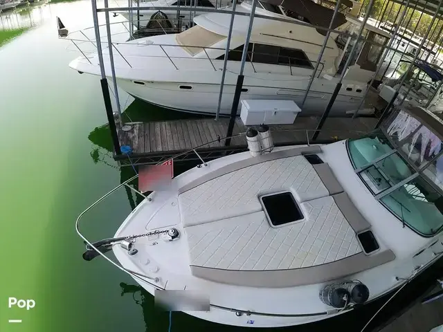 Sea Ray 310 Sundancer