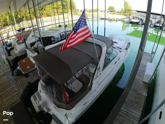 Sea Ray 310 Sundancer