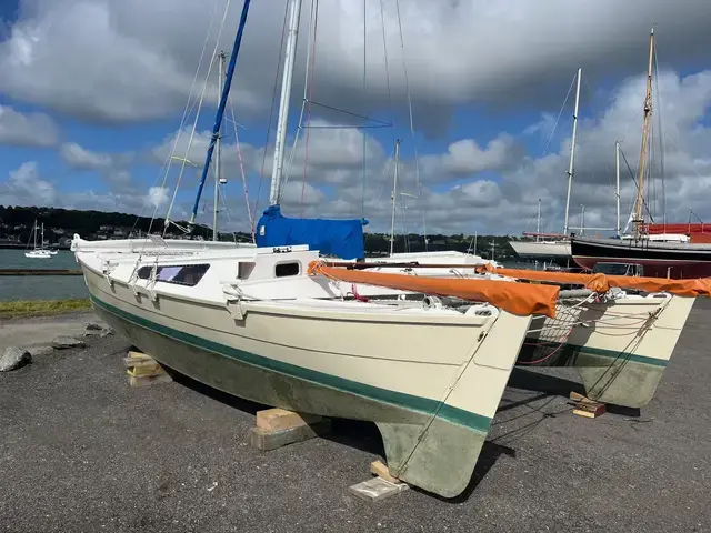 Wharram Tiki 26